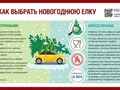 Елку нужно уметь выбирать