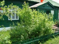 Лопатинская районная библиотека