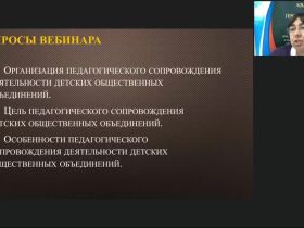 Вебинар "Педагогическое сопровождение деятельности детских общественных объединений"
