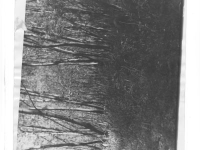 Могила революционера-большевика П.Е. Глушнева