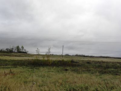 Родина Николая Сулейкина, одного из зачинателей русской пролетарской поэзии