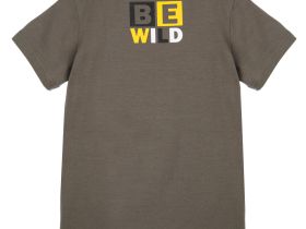 Фуфайка трикотажная для мальчиков (футболка)