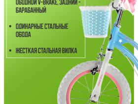 Детский велосипед Royal Baby Stargirl 12, год 2024, цвет Голубой