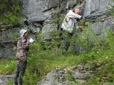 В Якутии ученые собрали уникальные образцы кембрийского периода