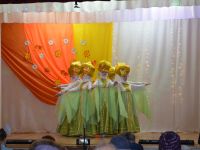 Жерлыкский сельский дом культуры