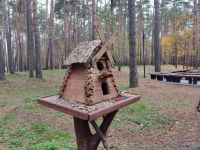 Лесопосадка г. Выксы