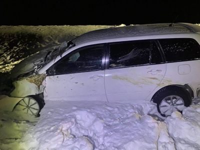В Нюрбинском районе автомобиль столкнулся с лошадью. Животное погибло