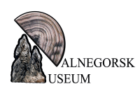 Музейно-выставочный центр г. Дальнегорска