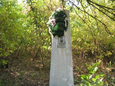 Могила летчика Калинина В.В., погибшего в бою с фашистами