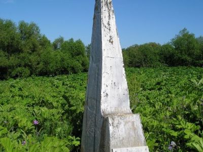 Могила Батенькова Гавриила Степановича (1793 - 1863), декабриста