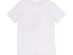 Фуфайка трикотажная для мальчиков (футболка)