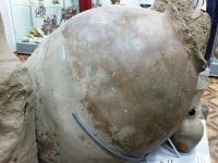 Армавирский краеведческий музей