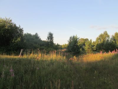 Родина Героя Советского Союза В.П. Миронова, погибшего в феврале 1943 г.