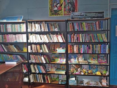 Новосвободненская сельская библиотека