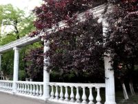 Ростовский областной музей изобразительных искусств на ул. Пушкинской