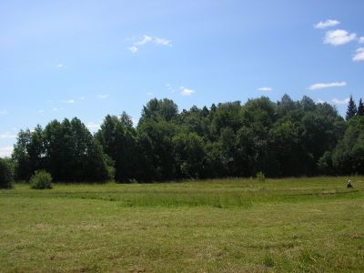 Священная роща