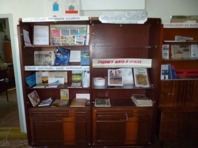 Дмитриевская сельская библиотека