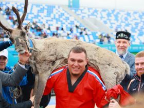 Стали известны победители соревнований по мас-рестлингу и борьбе корэш на Сабантуе
