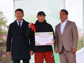 Стали известны победители соревнований по мас-рестлингу и борьбе корэш на Сабантуе