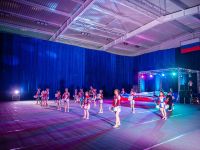 Физкультурно-оздоровительный комплекс «Авангард»