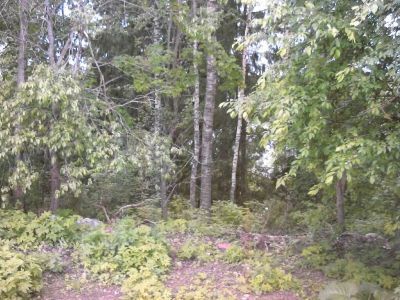 Усадьба Вонлярлярского