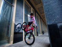 Электровелосипед Alpine Bike Alpinebike Finsteraarhorn, год 2025, цвет Розовый, ростовка 18