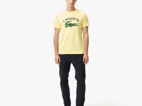 Мужская хлопковая футболка Lacoste