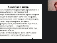 Международный вебинар "Анатомия, физиология и патология органов слуха, речи и зрения"