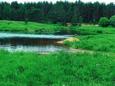Место сражения новгородцев с татаро-монголами