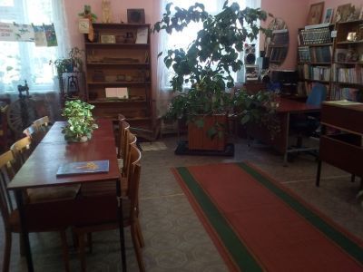 Железковская сельская библиотека