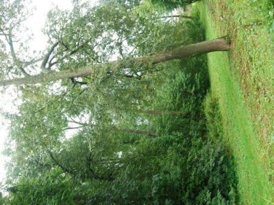 Регулярный парк с искусственным прудом