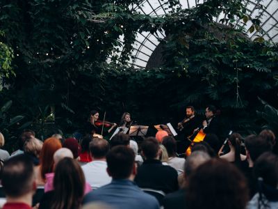 Билеты на Магия свечей. От Вивальди до Эйнауди при свечах в оранжерее (Оранжерея Таврического сада) / Концерт | Афиша | ИнфоТаймс