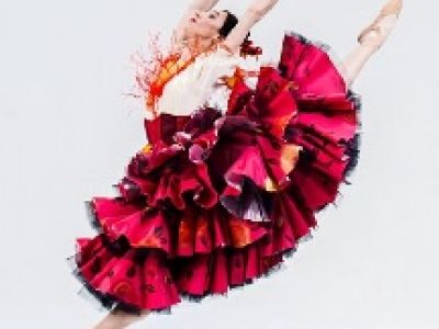 Дон Кихот Ламанчский