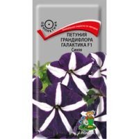 Петуния грандифлора Галактика F1 Синяя
