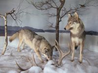 Желанновский краеведческий музей