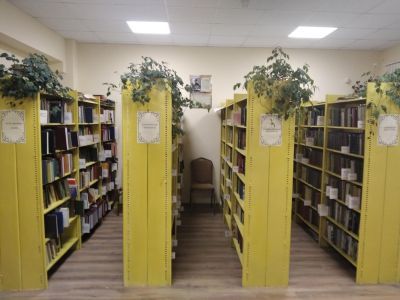 Струбковская сельская библиотека-филиал