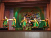 Палкинский районный центр досуга