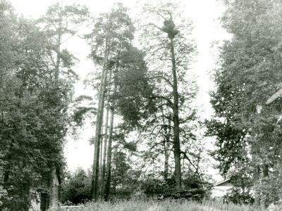 Усадьба Бирюковых. Здесь родился русский писатель, биограф Л.Н. Толстого П.И. Бирюков