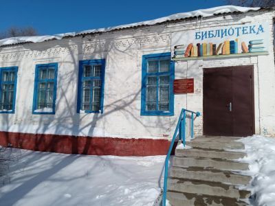 Библиотека села Родыки