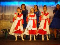 Владимирский сельский дом культуры