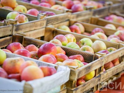 В России с 1 июня введут новый ГОСТ на свежие фрукты