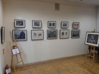 Информационно-выставочный центр Орловской области