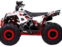 Квадроцикл WELS Thunder Evo M детский