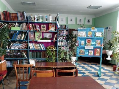 Нижнекатарачская сельская библиотека