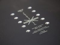 Сноуборд Nitro TEAM PRO WIDE 21/22