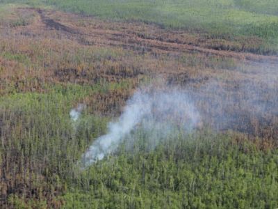 Лесные пожары на площади около 3000 га действуют в Якутии