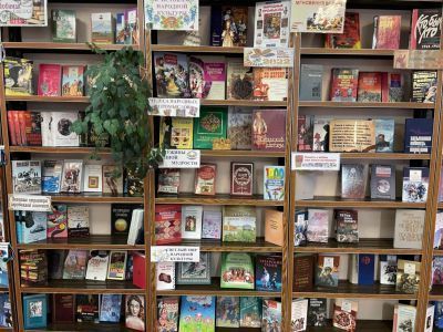 Камышлинская сельская библиотека