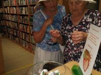 Юго-Камская библиотека