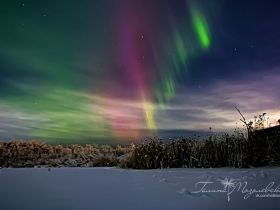 Переливы северного сияния засняли в окрестностях Якутска