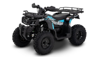Квадроцикл SHARMAX Activator 250